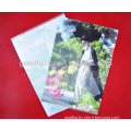 Guangzhou hot sale custom 0.2mm thick pp A4 plastic clear file folder